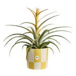 blocks & stripes 15cm cream yellow